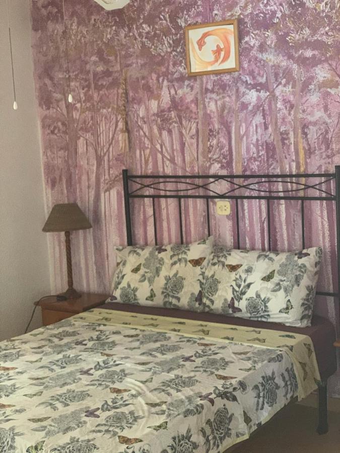 Apartamentos "Mariposa" 貝尼多姆 外观 照片